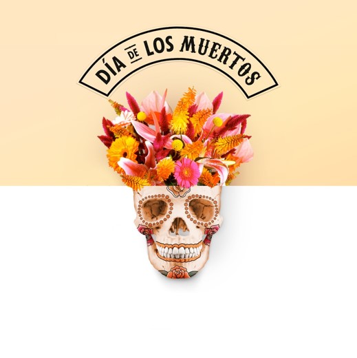 Campaña Dia Todos Santos