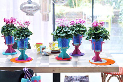 Cyclamen