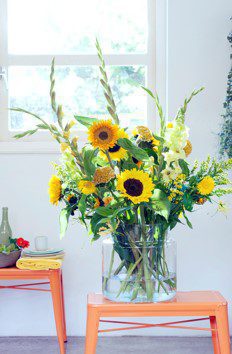 Girasol