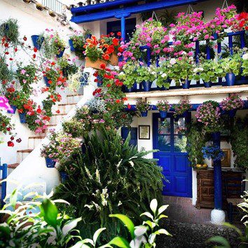 Patio festival flores