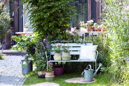 Plantas perennes