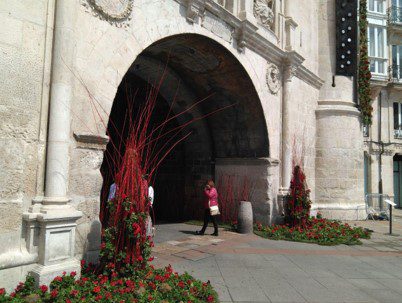 concierto-floral-burgos