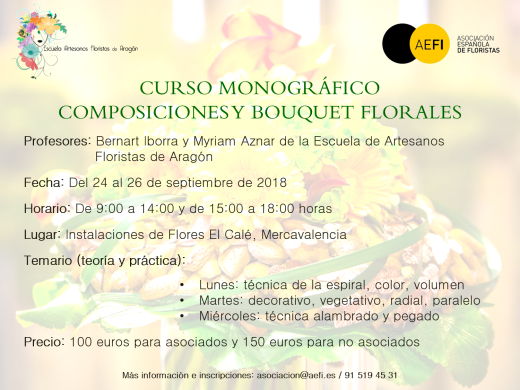 Curso Monográfico Composiciones