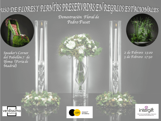 Flores y Plantas Estacionales