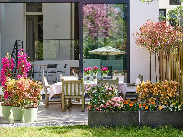 Plantas de exterior