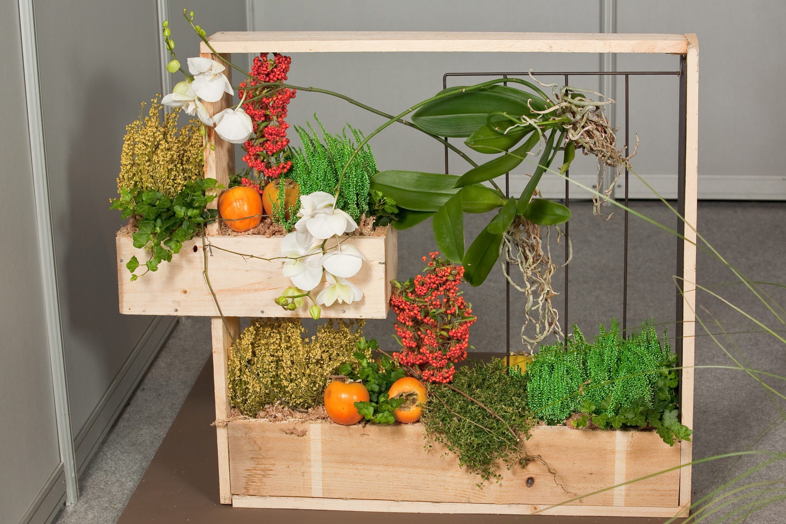 Composición con Plantas