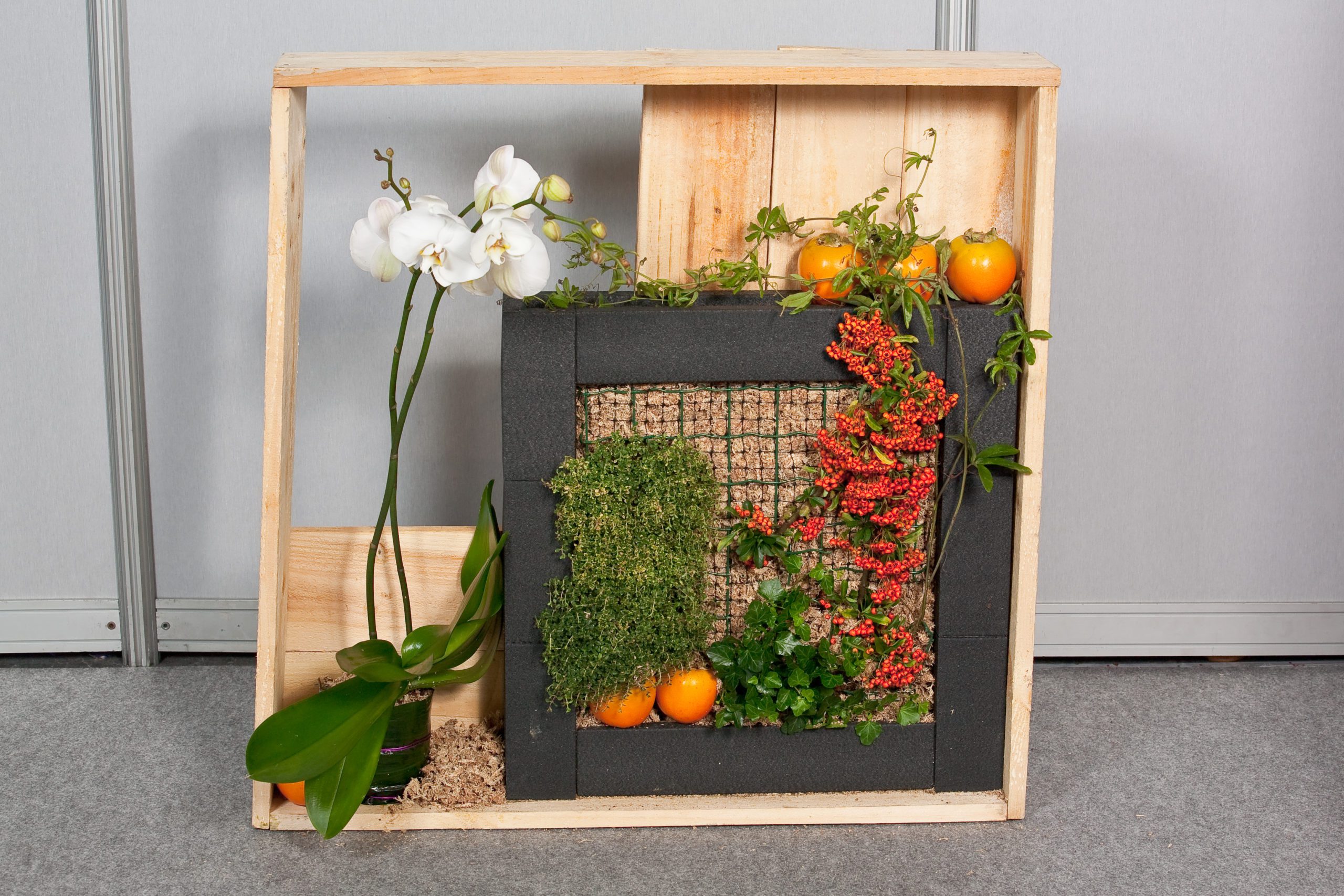 Composición con Plantas
