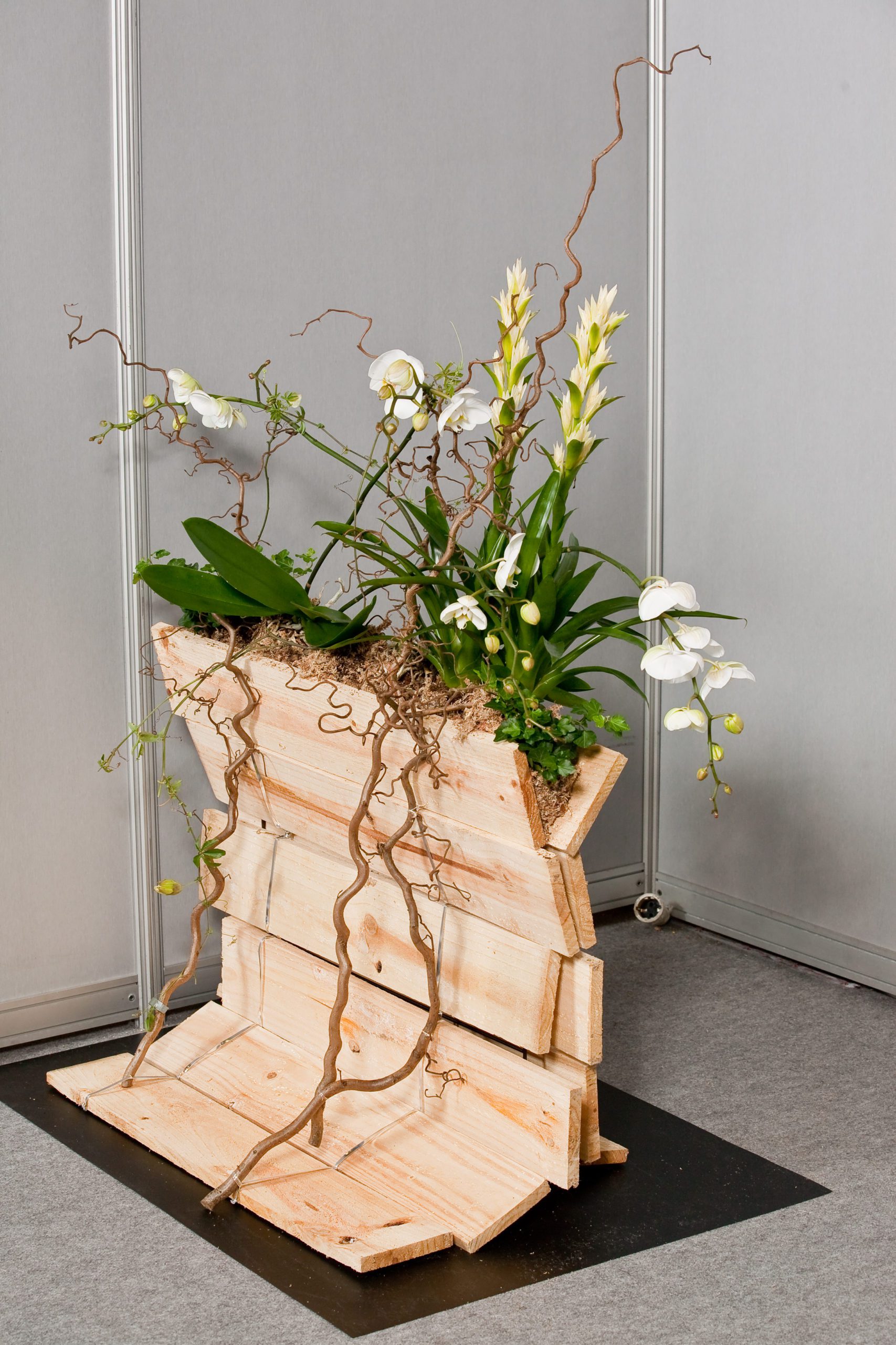 Composición con plantas