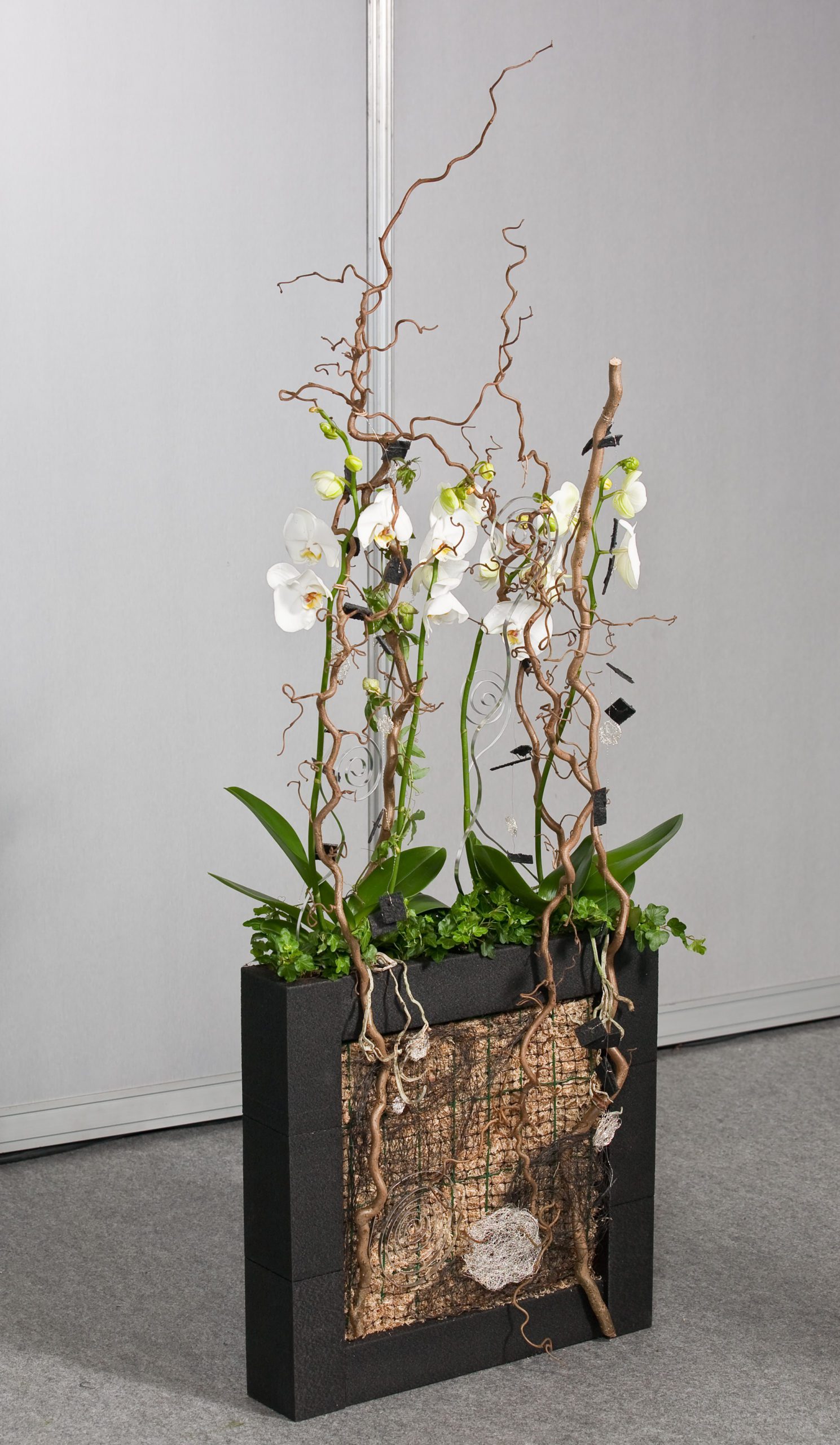 Composición con Plantas
