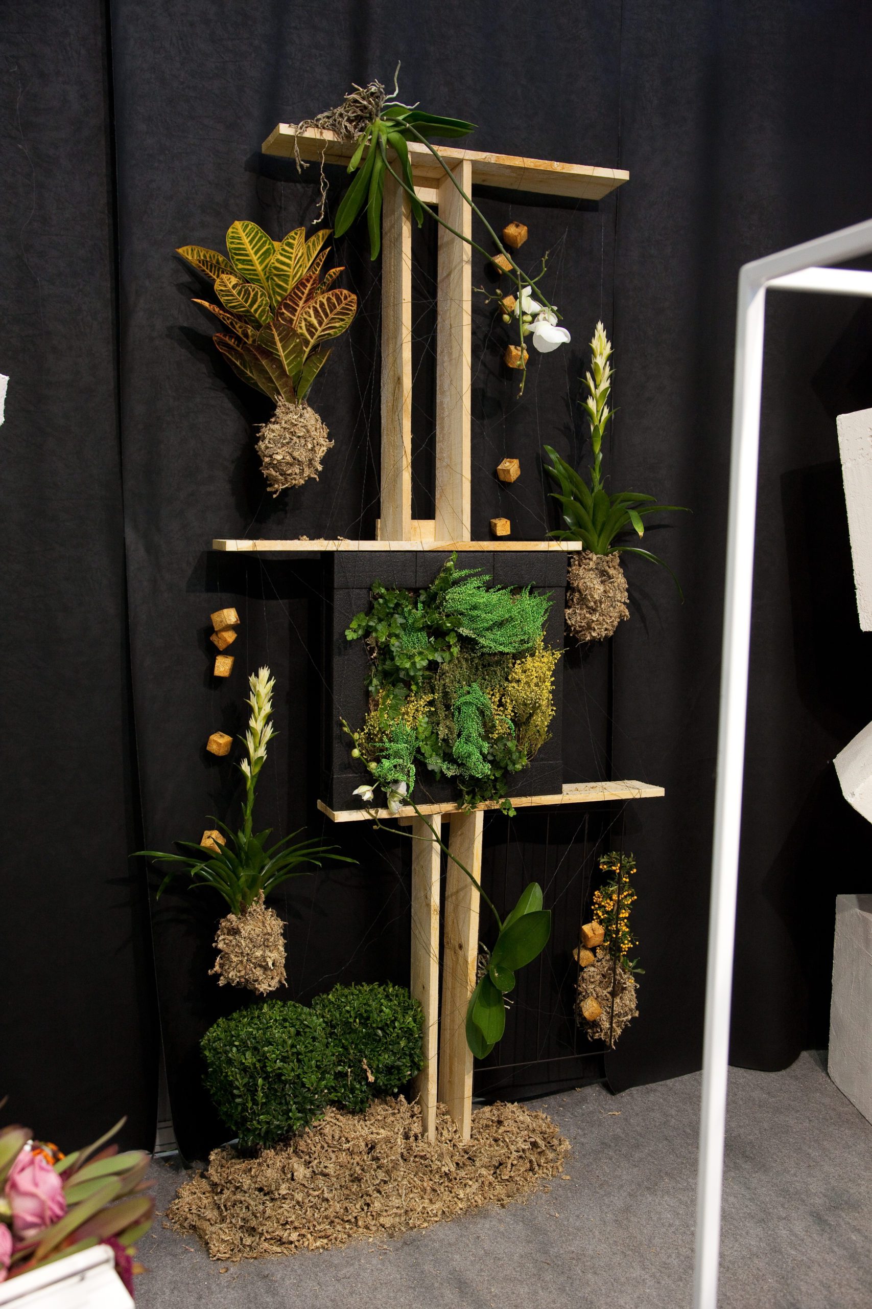 Libre composición con plantas