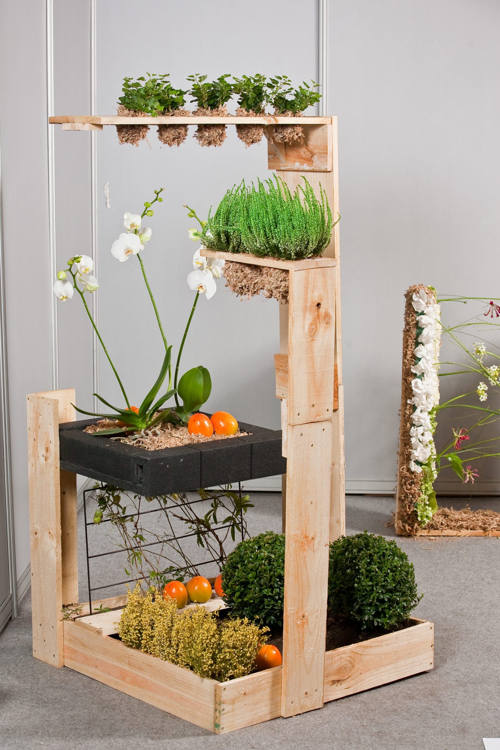 Libre composición con plantas