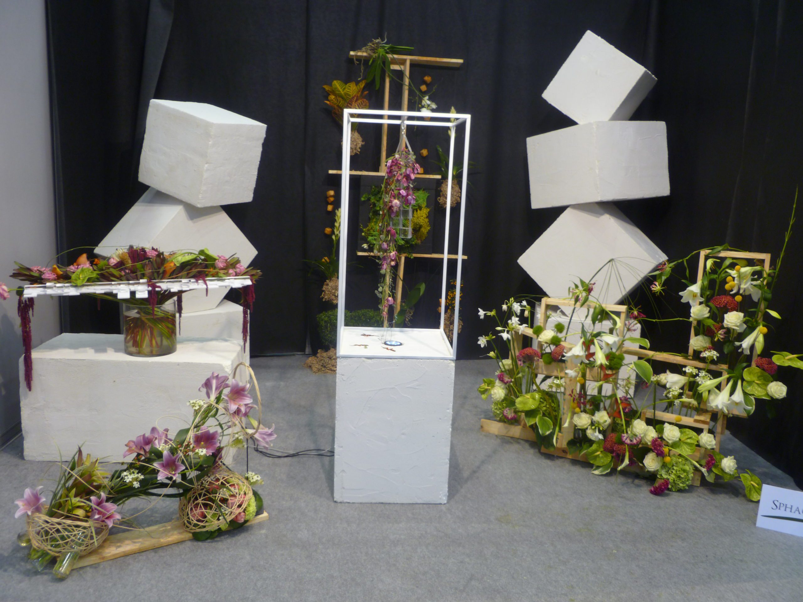 Stand 5º Clasificado Manuel Garcia Arias
