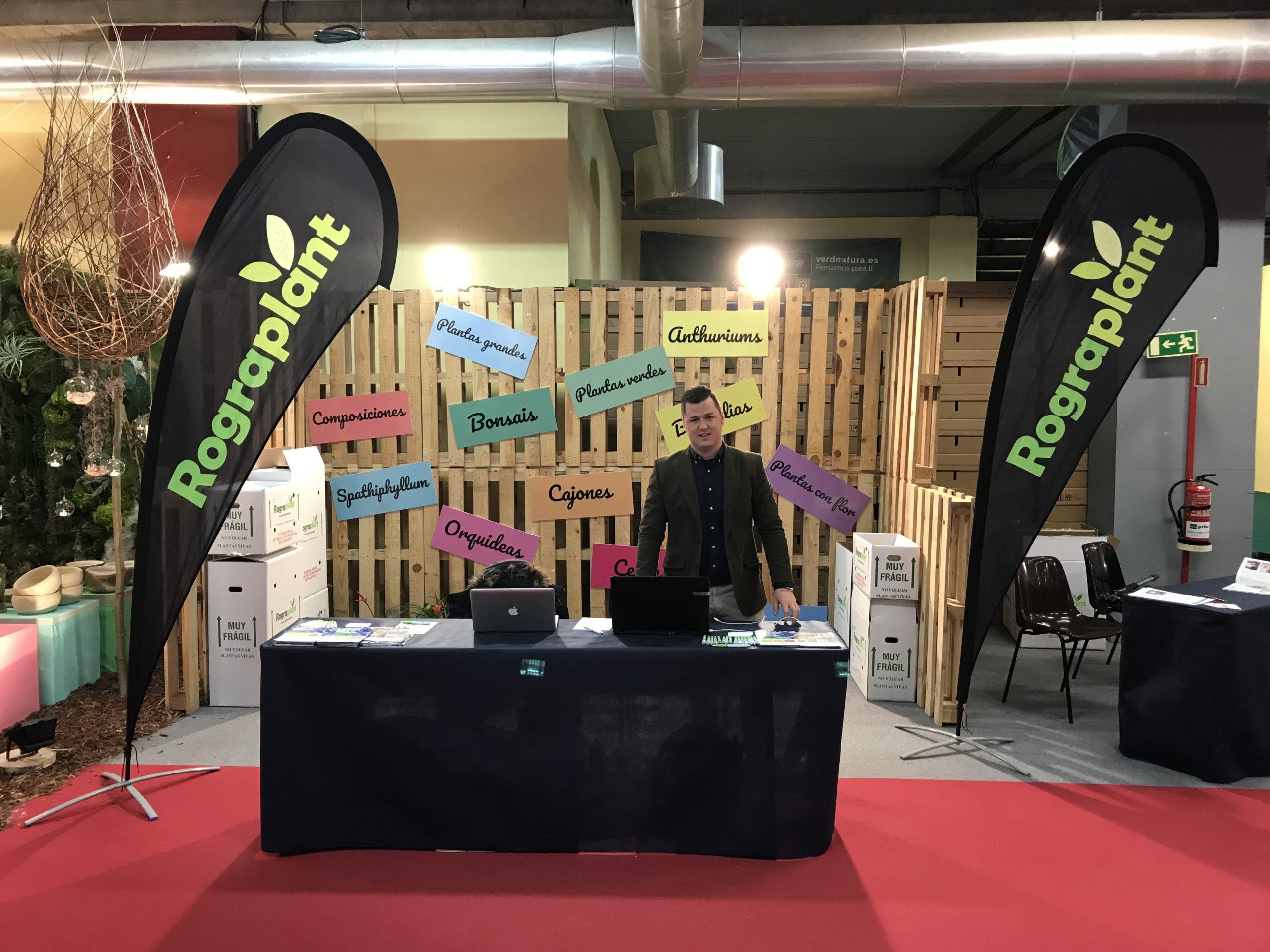 Stand Rograplant