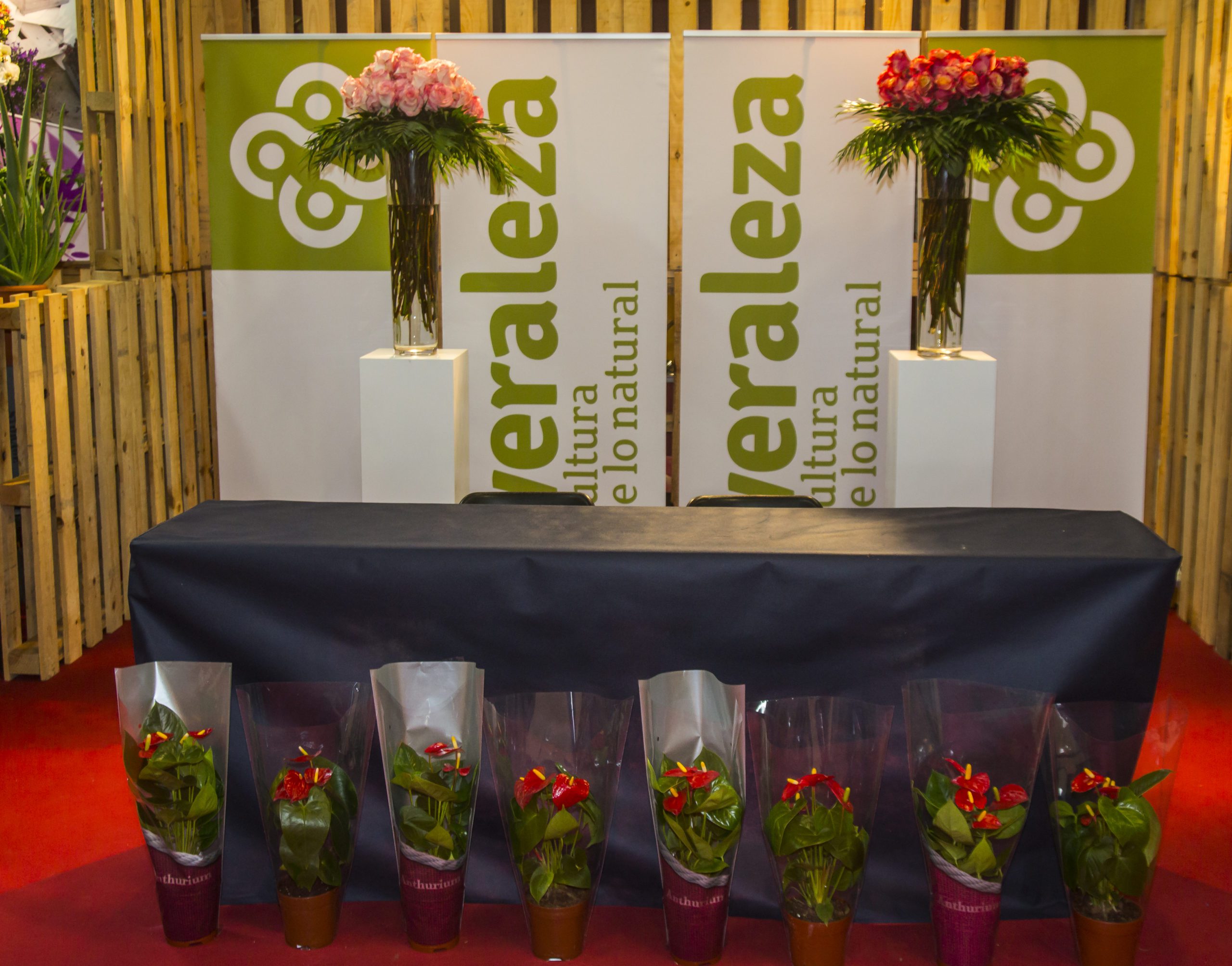 Stand Veraleza