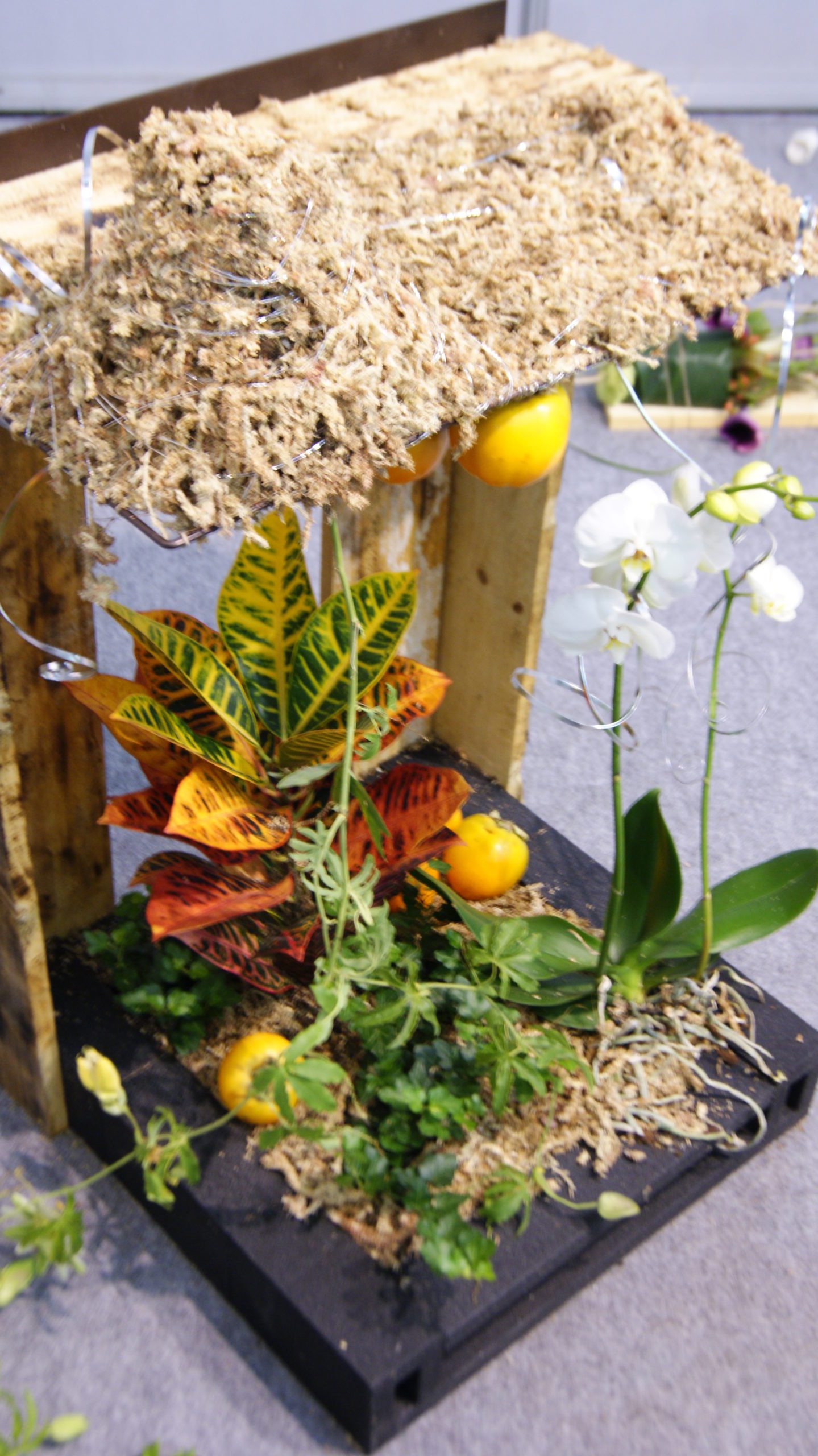 Trabajo con plantas Pablo Hernández