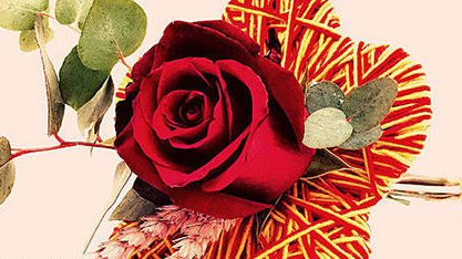 sant jordi 4