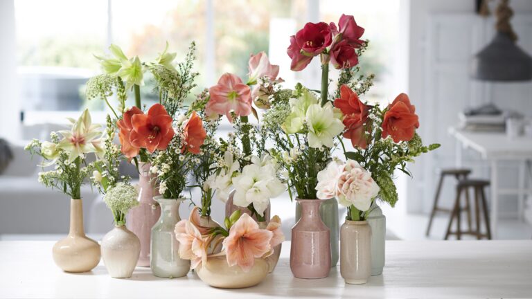 Styling Elize Eveleens - Klimprodukties