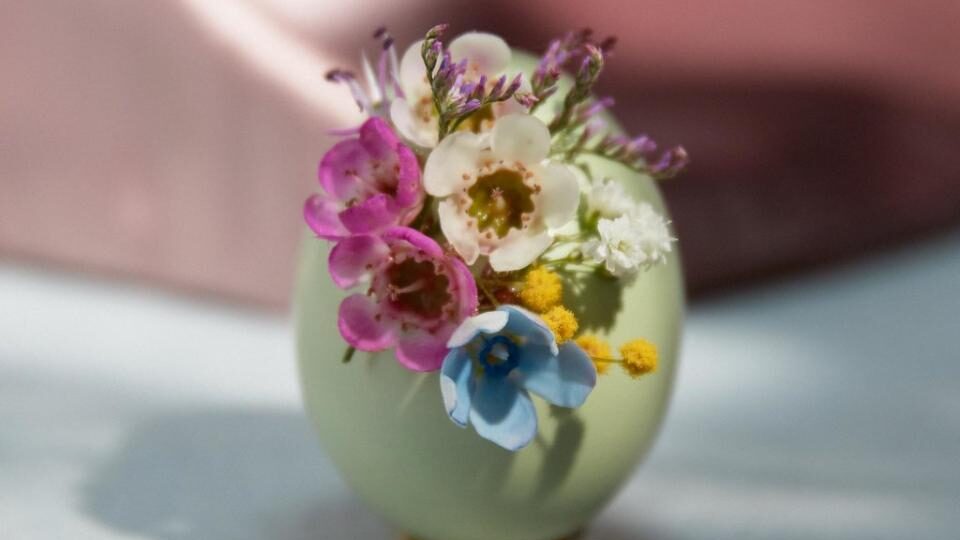 pascua 4