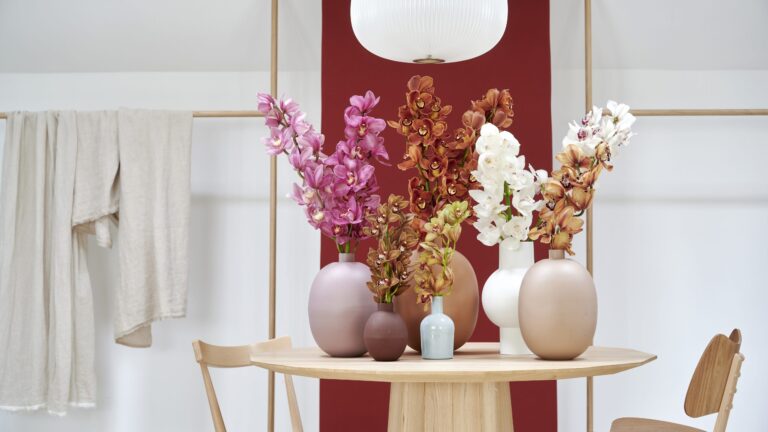cymbidium